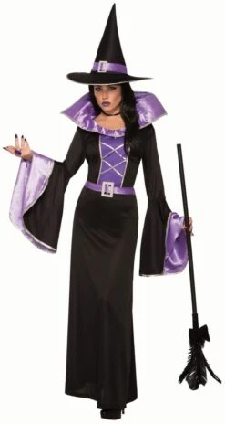 Fantasy Sorceress Costume
