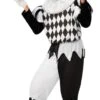 Harlequin Male Costume