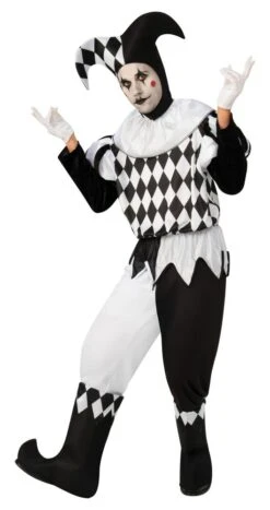 Harlequin Male Costume