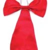 Bow Tie Large Red
