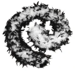Black/White Feather Boa
