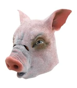 Pig Mask