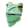 Frog Mask