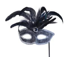 Black Mask/Silver Trim + Feathers On Stick
