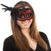 Red Side Feather Mask