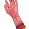Cut Off Bloody Hand