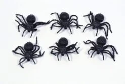 Spiders