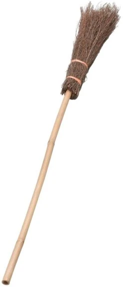 Witch Broom