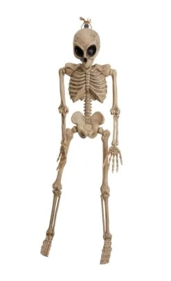 Alien Skeleton