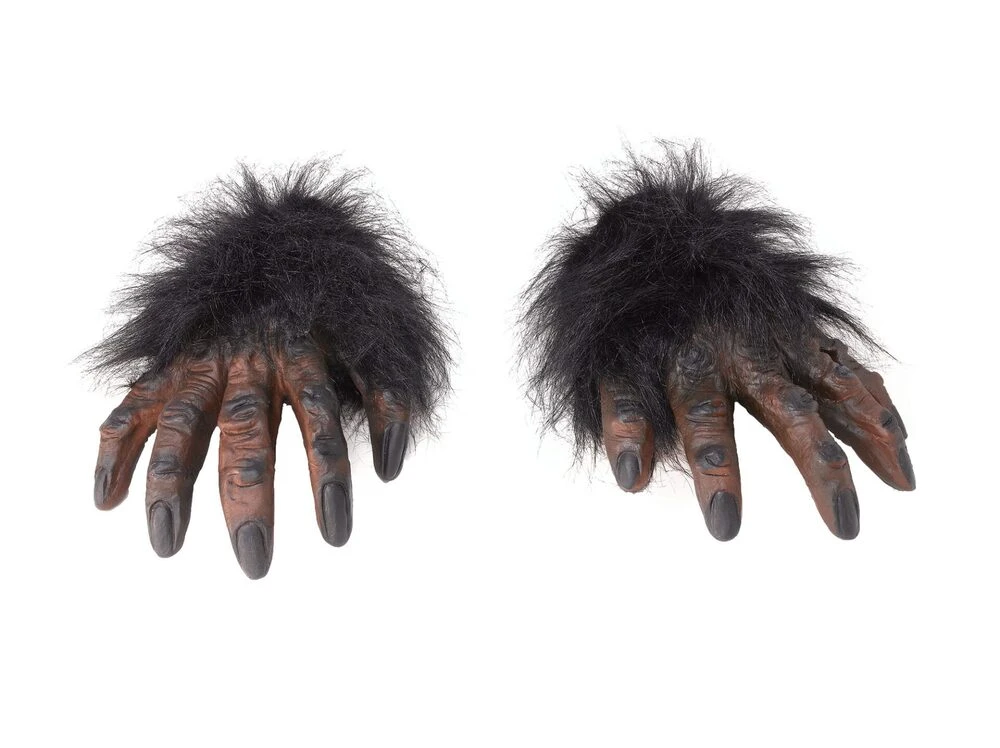 Hairy Hands Brown 1 Hairy Hands Brown