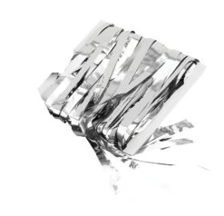 Silver Tinsel Curtain